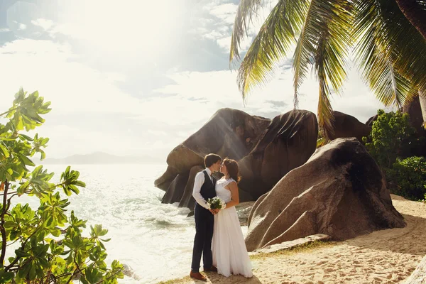 Braut und Bräutigam küssen sich am Strand — Stockfoto