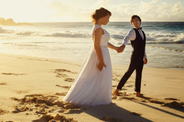 Elegante splendida sposa e lo sposo — Foto Stock