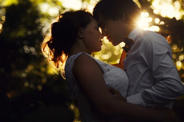 Elegant gorgeous bride and groom kissing — Stock Photo, Image