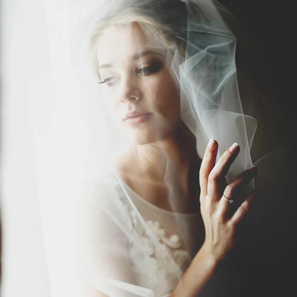 Stylish luxury gorgeous blonde bride — Stock Photo, Image