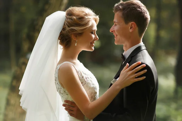 Luxe stijlvolle bruid en bruidegom — Stockfoto