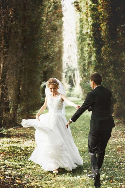 Lusso elegante giovane sposa e sposo — Foto Stock