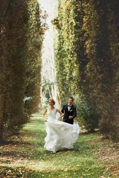 Elegante jovem noiva e noivo — Fotografia de Stock