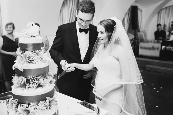 Couple is cutting tasty cake — Stock Photo, Image