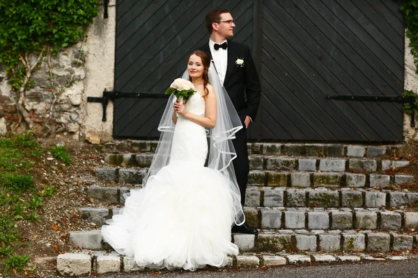 Gentil pareja elegante — Foto de Stock