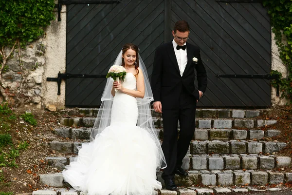 Gentil pareja elegante —  Fotos de Stock