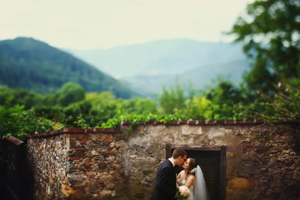 Noivo elegante doce feliz e noiva — Fotografia de Stock