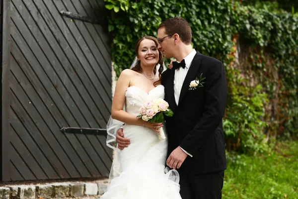 Casal elegante suave — Fotografia de Stock