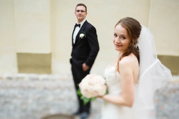 Adorando feliz noivo bonito e noiva — Fotografia de Stock