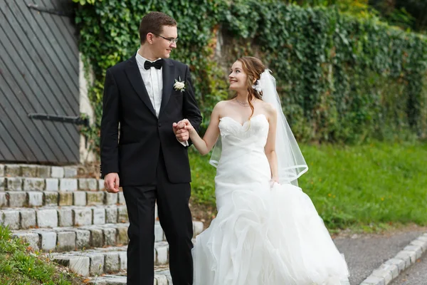 Casal elegante suave — Fotografia de Stock