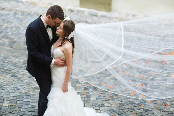Anbetung glücklichen süßen Bräutigam und Braut — Stockfoto