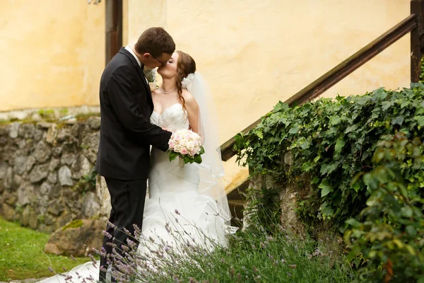 Bonito noivo elegante e noiva — Fotografia de Stock