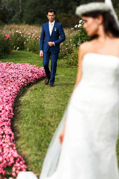 Eleganter Bräutigam und Braut — Stockfoto