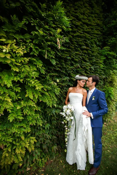 Fabulosa pareja en el parque — Foto de Stock