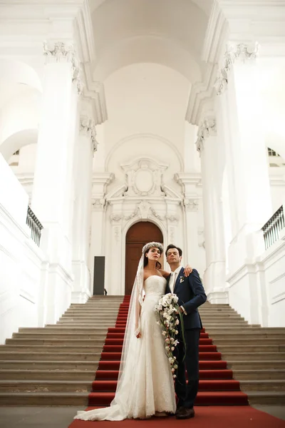 Luxo feliz noivo e noiva — Fotografia de Stock