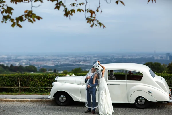 Schöne süße Bräutigam und Braut — Stockfoto