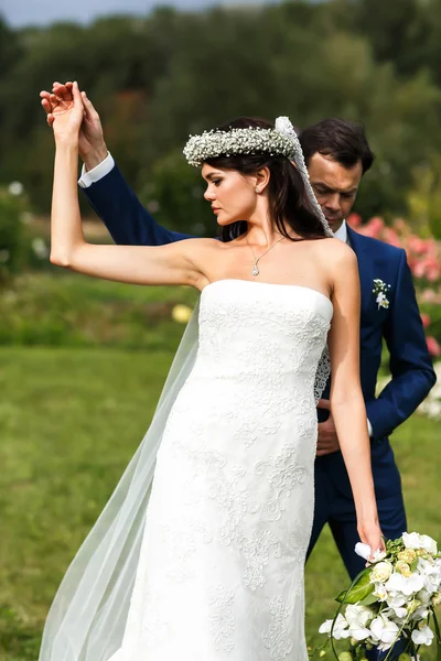 Elegante sposo e sposa — Foto Stock