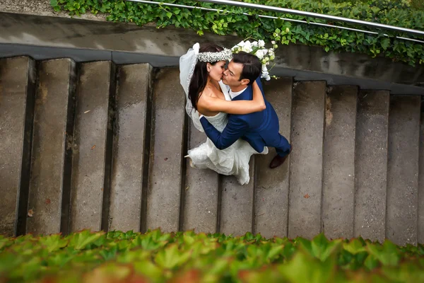 Novio y novia en el parque de fondo —  Fotos de Stock