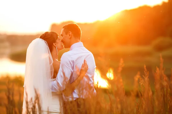 Bräutigam und Braut umarmen und küssen sich — Stockfoto