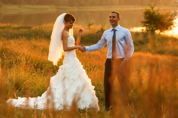 Sposo e sposa è in posa — Foto Stock