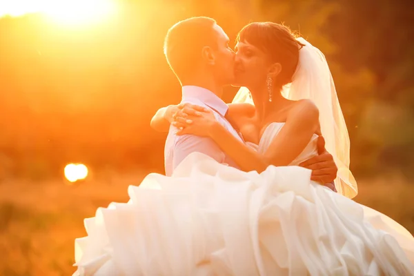 Groom is holding and kissing his  bride — Stock Photo, Image