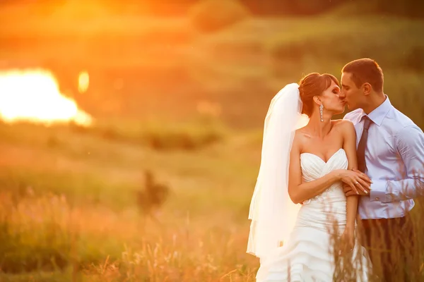 Casal gentil está beijando — Fotografia de Stock