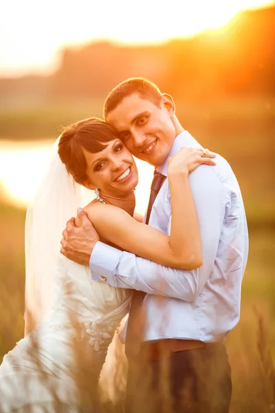 Gentil pareja está posando —  Fotos de Stock