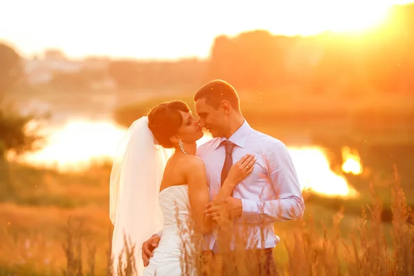 Groom  and  bride is hugging — Stock Photo, Image