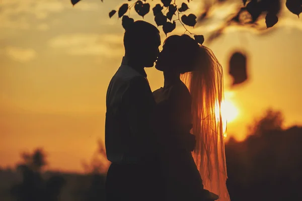 Noivo e noiva está beijando — Fotografia de Stock