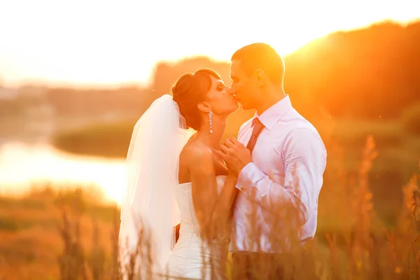 Groom  and  bride is hugging and kissing — Stock Photo, Image