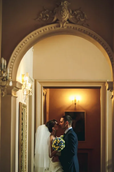 Noivo e noiva está beijando — Fotografia de Stock