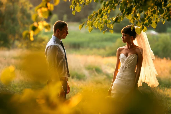 Novio y novia está posando —  Fotos de Stock