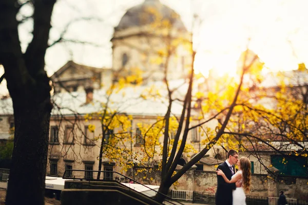 Luxueux élégant jeune mariée et marié — Photo