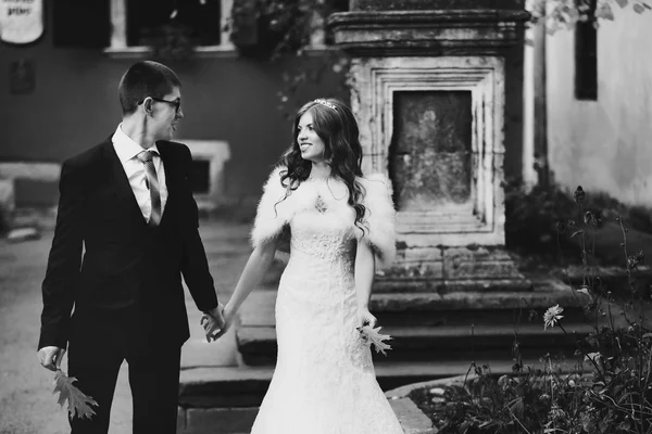 Lujo elegante joven novia y novio — Foto de Stock