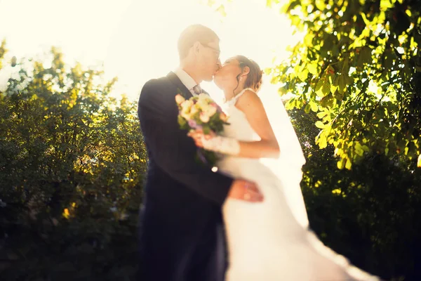 Doce casal romântico elegante — Fotografia de Stock