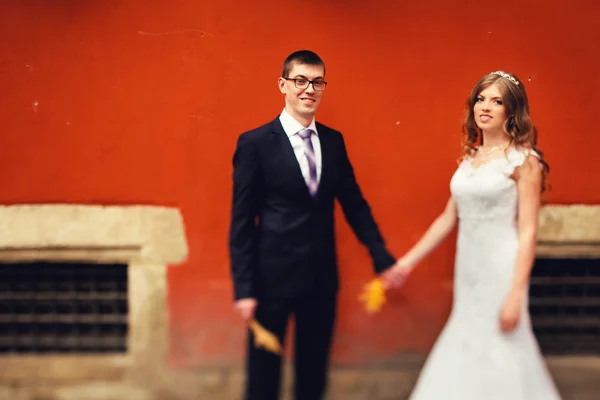 Luxe stijlvolle jonge bruid en bruidegom — Stockfoto