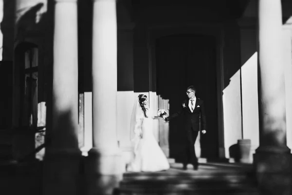 Elegante schöne stilvolle Braut und Bräutigam — Stockfoto