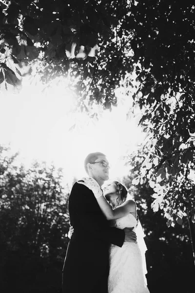 Doce casal romântico elegante — Fotografia de Stock