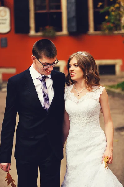 Lujo elegante joven novia y novio — Foto de Stock