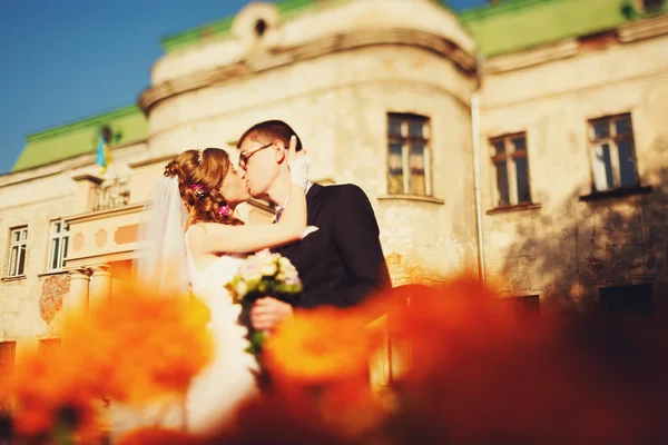 Elegante mooie stijlvolle bruid en bruidegom — Stockfoto