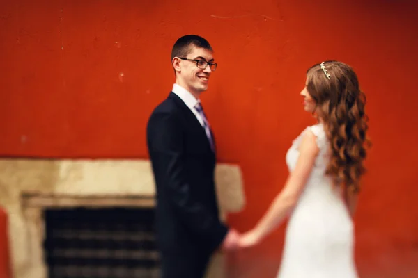 Lyxigt snygga unga bruden och brudgummen — Stockfoto