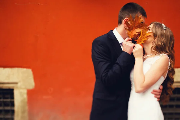 Lujo elegante joven novia y novio — Foto de Stock