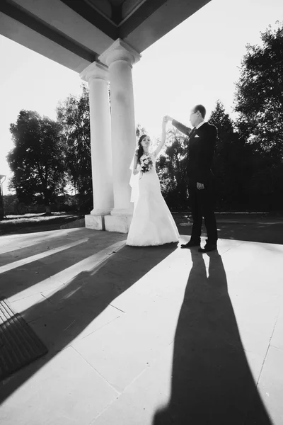 エレガントな美しいスタイリッシュな花嫁と花婿 — ストック写真