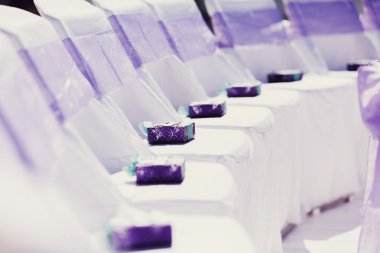 Menekşe yay ile beyaz sandalye