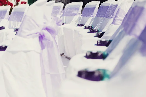 Білі стільці з фіолетовими бантами — стокове фото