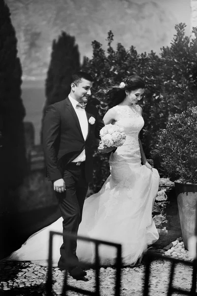 Şık genç mutlu gelin damat için