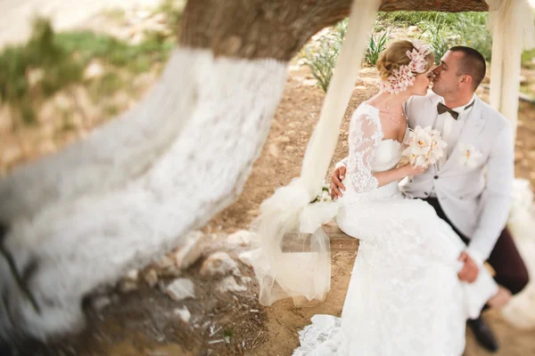 Gyönyörű szőke menyasszony és a vőlegény elegáns — Stock Fotó