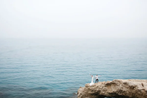 Muhteşem sarışın gelin ve şık damat — Stok fotoğraf