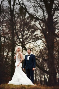 esmer damat ve sarı gelin