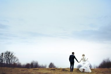 esmer damat ve sarı gelin